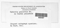 Image Associated With the Occurence